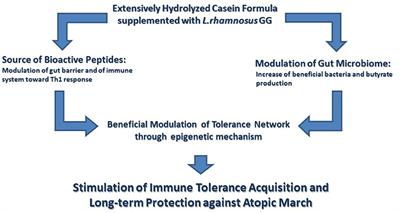 Immunonutrition for Pediatric Patients With Cow's Milk Allergy: How Early Interventions Could Impact Long-Term Outcomes